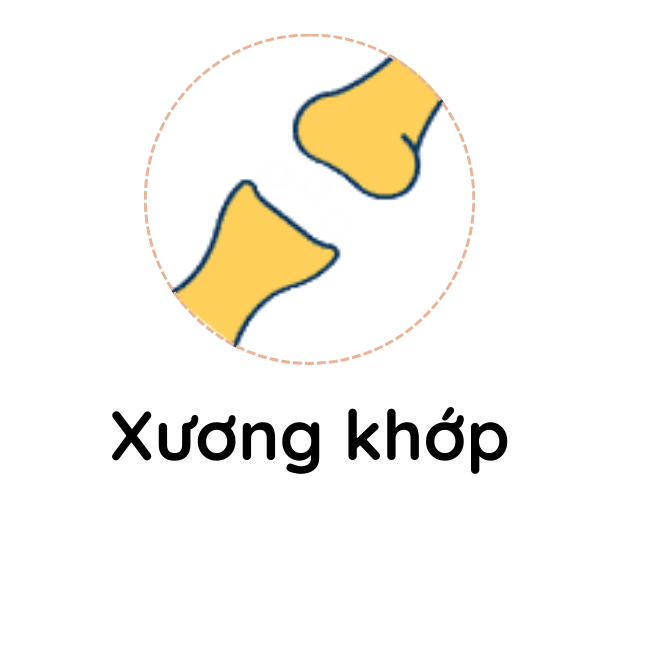 xuong-khop